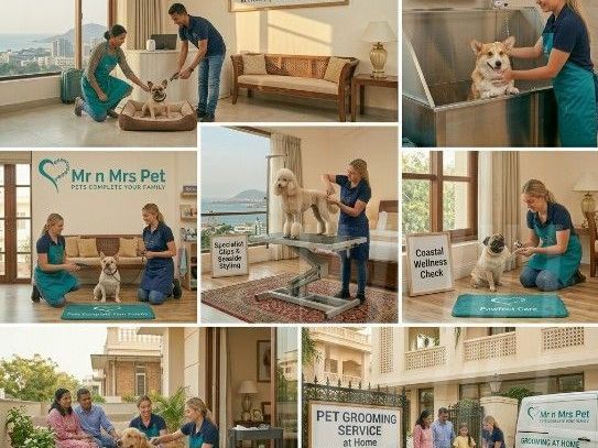 pet-grooming-service-at-home-in-visakhapatnam