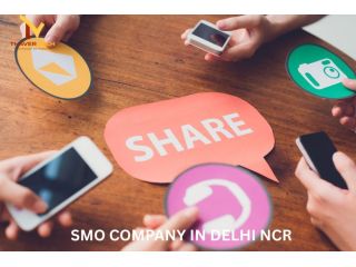 social-media-optimization-company-in-delhi-ncr-small-0