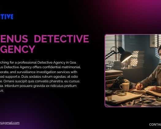 private-detective-agency-in-goa-for-reliable-investigation