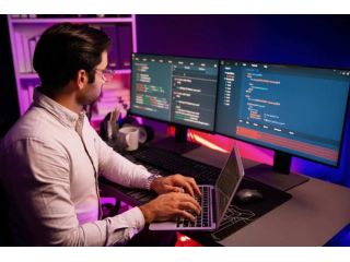 professional-web-development-services-by-magnawiz-small-0