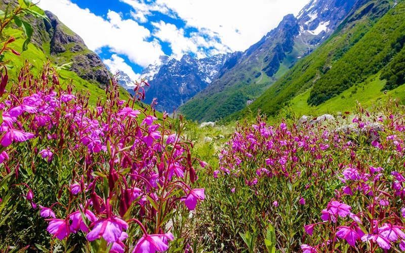 valley-of-flowers-trek-package-big-0