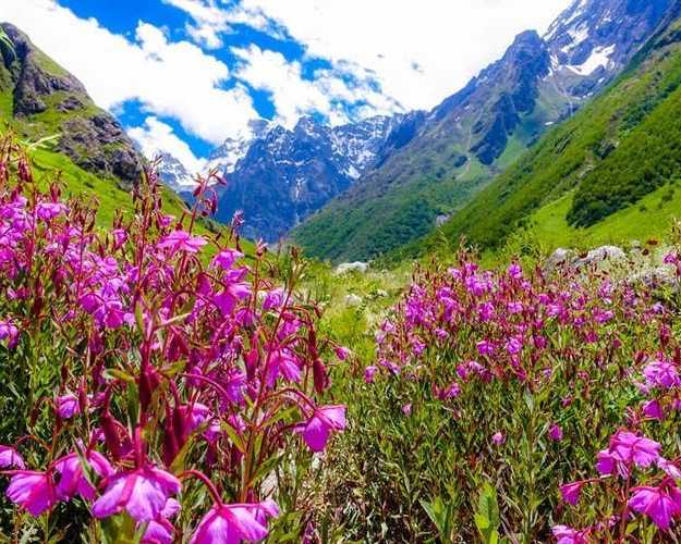 valley-of-flowers-trek-package