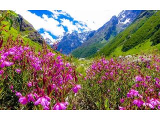 valley-of-flowers-trek-package-small-0