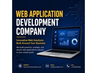 professional-web-application-development-services-small-0