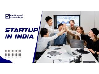 professional-startup-in-india-consulting-for-entrepreneurs-small-0