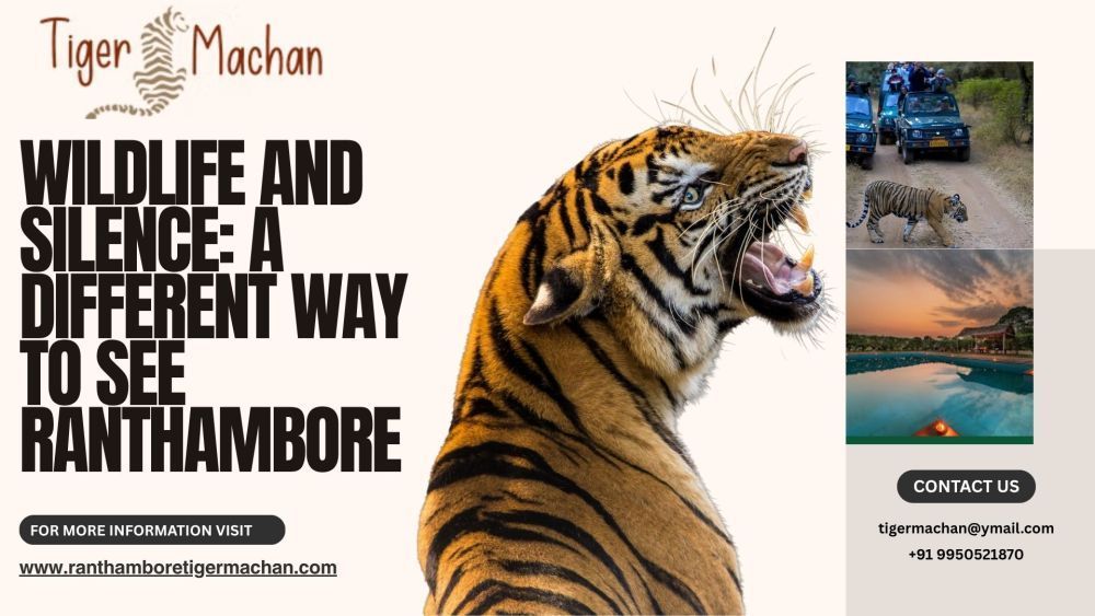 wildlife-and-silence-a-different-way-to-see-ranthambore-big-1