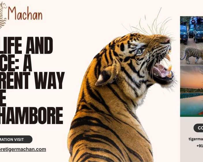wildlife-and-silence-a-different-way-to-see-ranthambore