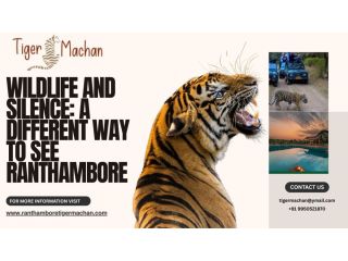 wildlife-and-silence-a-different-way-to-see-ranthambore-small-1