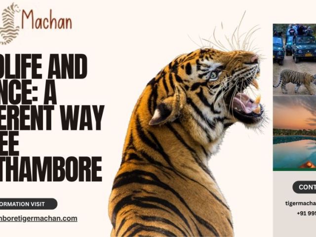 wildlife-and-silence-a-different-way-to-see-ranthambore
