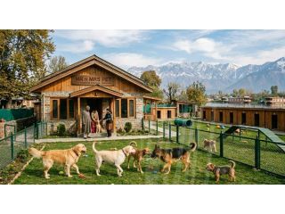 dog-boarding-services-in-srinagar-jk-small-0