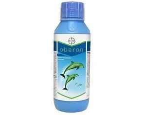oberon-insecticide-for-effective-mite-control-in-crops