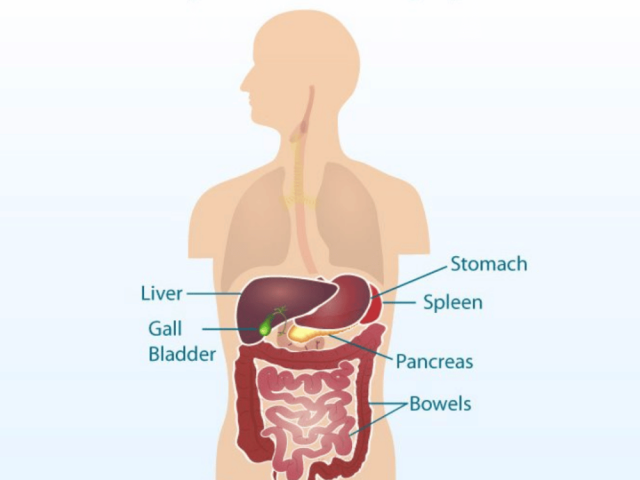 cytoreductive-surgery-in-ahmedabad-for-abdominal-cancer