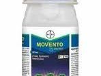 movento-energy-insecticide-for-advanced-pest-control-in-crops