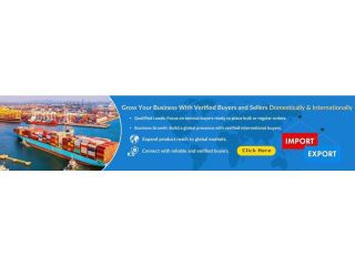 why-are-b2b-portal-important-for-business-growth-small-0