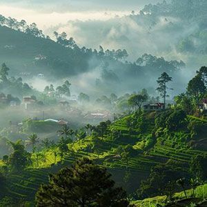 tour-package-from-madurai-big-0