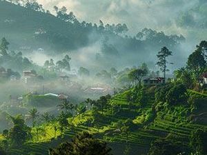 tour-package-from-madurai