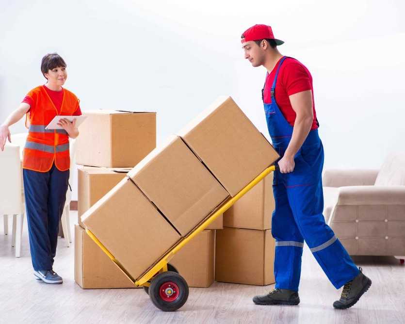 need-fast-and-secure-packers-and-movers-noida-services