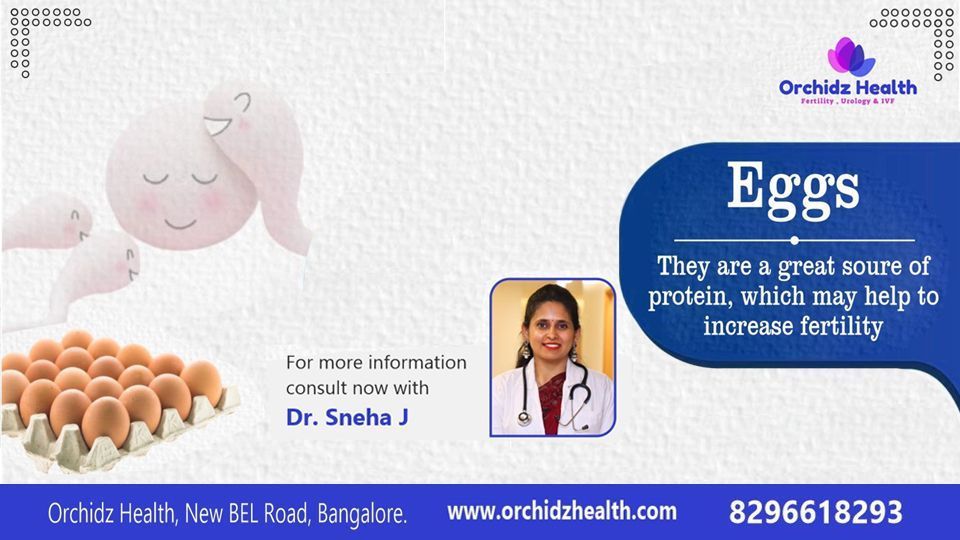 best-egg-freezing-cost-in-bangalore-for-womens-fertility-care-big-0