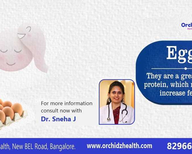 best-egg-freezing-cost-in-bangalore-for-womens-fertility-care