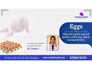best-egg-freezing-cost-in-bangalore-for-womens-fertility-care-small-0