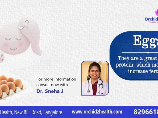 best-egg-freezing-cost-in-bangalore-for-womens-fertility-care