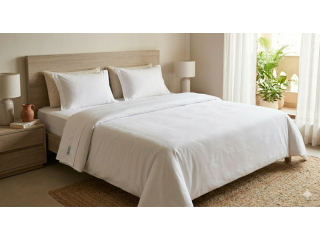 white-cotton-bedsheets-245-gsm-pure-cotton-handloom-woven-small-0
