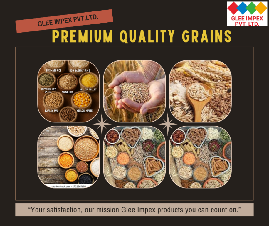 premium-natural-grains-export-company-in-india-glee-impex-big-0
