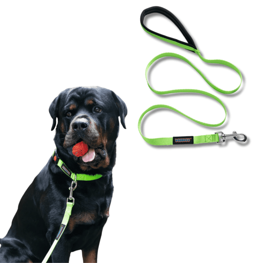 dog-collars-and-leashes-by-waggety-for-daily-use-big-0