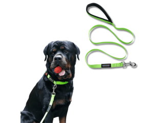 dog-collars-and-leashes-by-waggety-for-daily-use-small-0