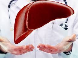 expert-chronic-liver-treatment-doctors-in-ludhiana-big-0
