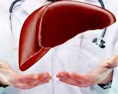 expert-chronic-liver-treatment-doctors-in-ludhiana
