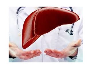 expert-chronic-liver-treatment-doctors-in-ludhiana-small-0