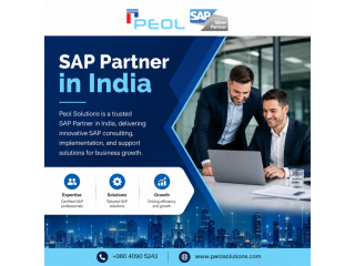 sap-partner-in-india-small-0