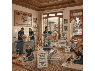 pet-grooming-service-at-home-in-srinagar-jk-small-0