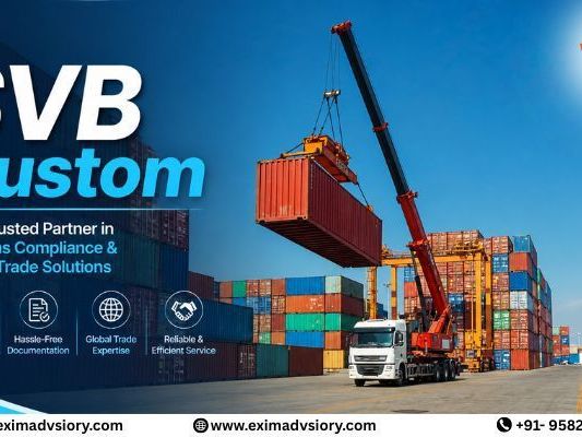 exim-advisory-expert-solutions-for-svb-custom