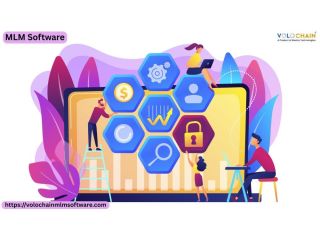 create-strong-networks-with-best-mlm-software-solution-noida-small-0