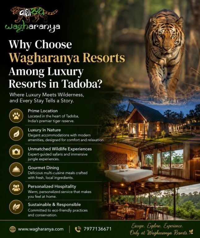 why-choose-wagharanya-resorts-among-luxury-resorts-in-tadoba-big-0