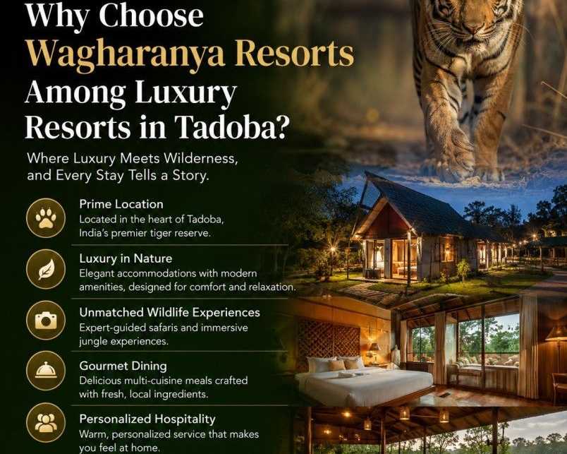 why-choose-wagharanya-resorts-among-luxury-resorts-in-tadoba