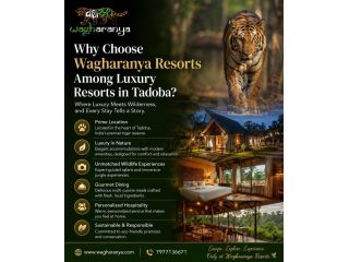 why-choose-wagharanya-resorts-among-luxury-resorts-in-tadoba-small-0