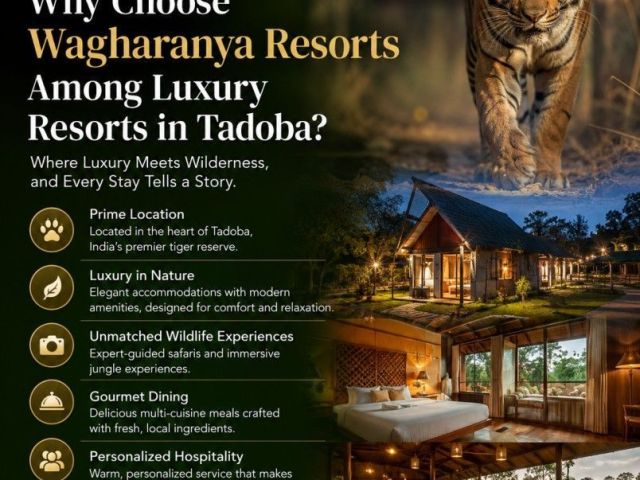 why-choose-wagharanya-resorts-among-luxury-resorts-in-tadoba