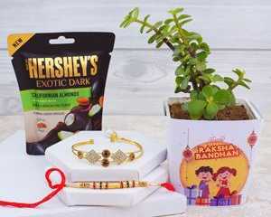 fast-secure-send-rakhi-to-achalpur-online