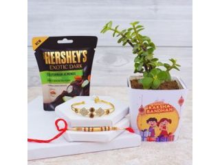 fast-secure-send-rakhi-to-achalpur-online-small-0