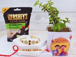 fast-secure-send-rakhi-to-achalpur-online