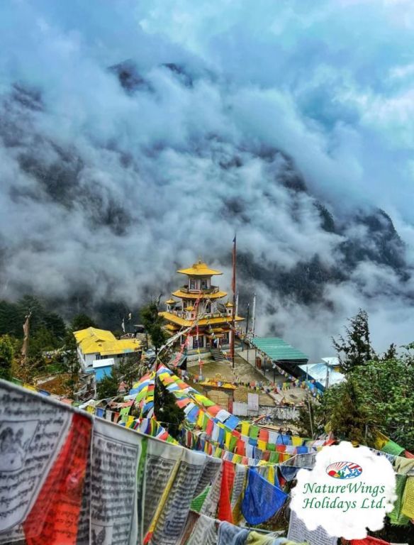 discover-the-magic-of-himalayas-with-a-tawang-tour-package-big-1