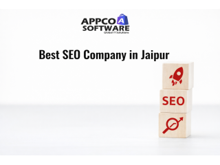 best-seo-company-in-jaipur-appco-software-small-0