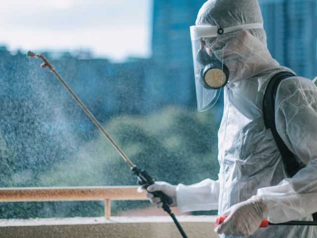 best-pest-control-services-in-gurgaon-safe-affordable