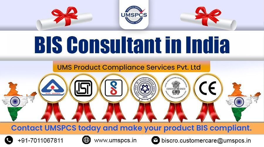 bis-consultant-india-big-0