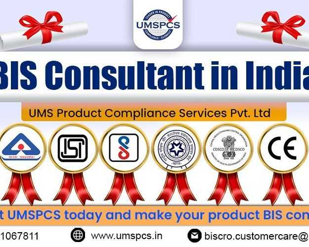 bis-consultant-india