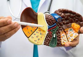 trusted-liver-cirrhosis-treatment-in-ahmedabad-big-0