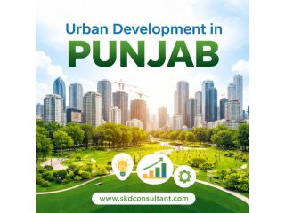 urban-development-in-punjab-issues-and-solutions-small-0